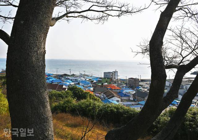 대풍헌 뒤 전망대에서 보는 구산마을 풍경.