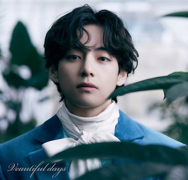 방탄소년단 뷔 中팬클럽, 전국 지하철에 1만 7199개 생일 축하 광고