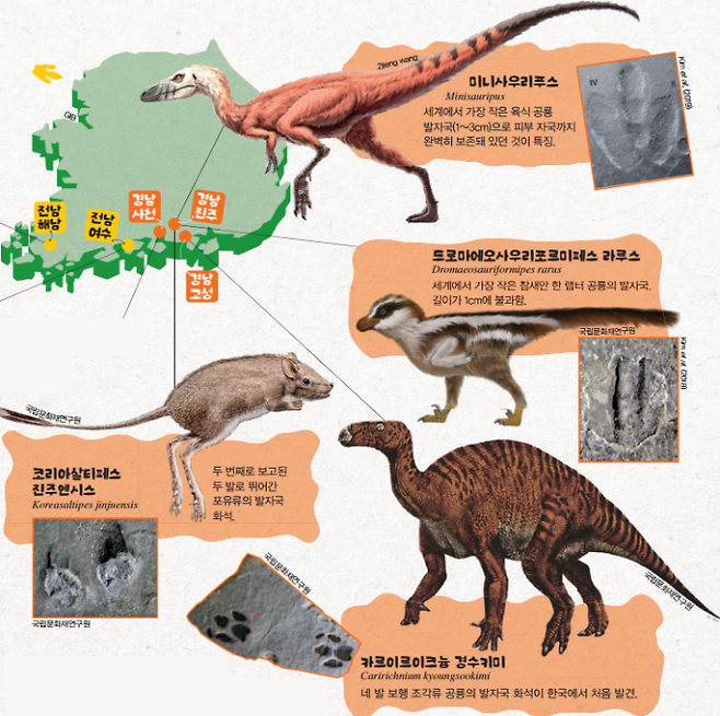 전국 각지에서 발견된 공룡 발자국 화석. 어린이 과학동아 DB