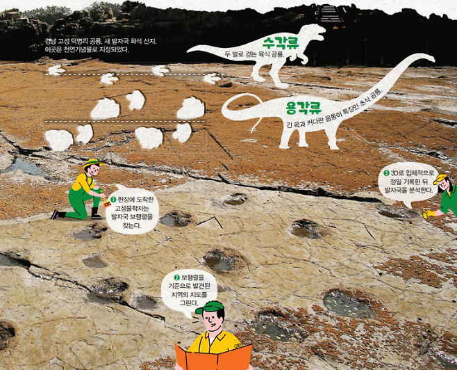 경남 고성 덕명리 공룡, 새발자국 화석 산지. 이 곳은 천연 기념물로 지정되었다. 국립문화재연구원