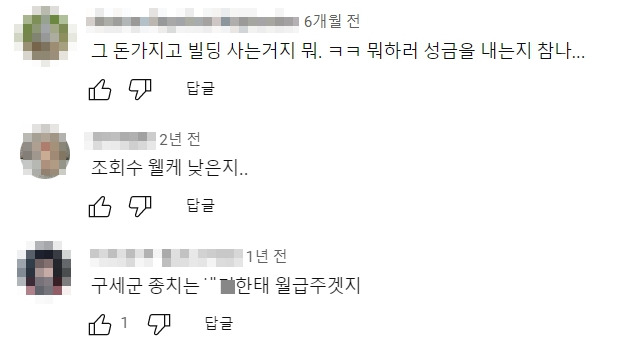 함부로 남긴 의견들. 그걸 쉽게 믿고, 기부를 포기하는 이들이 생길까 두려웠던 마음./사진=눈살 찌푸리며 캡쳐한 남형도 기자