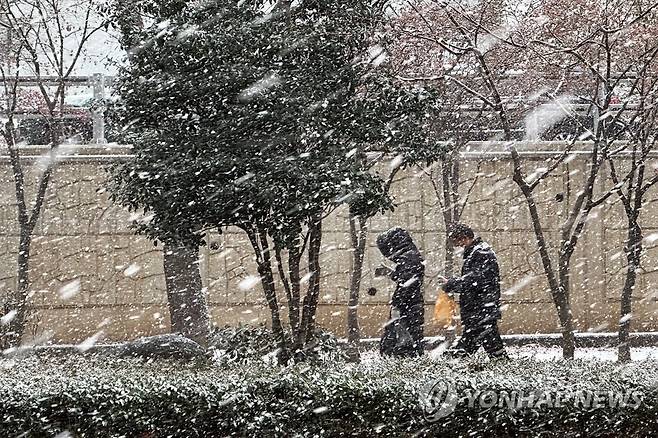 '펑펑' 내리는 눈 (광주=연합뉴스) 차지욱 기자 = 대설주의보가 내려진 17일 오전 광주 도심에 눈이 내리고 있다. 2022.12.17 uk@yna.co.kr