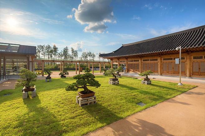 세종 국립세종수목원 분재원