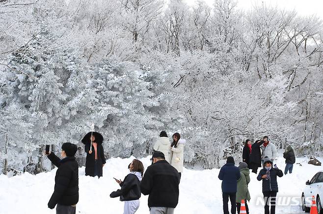 [제주=뉴시스] 우장호 기자 = 19일 오후 주말 동안 폭설이 쏟아진 제주 한라산 자락에 눈꽃이 활짝펴 시선을 사로 잡고 있다. 2022.12.19. woo1223@newsis.com