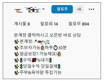 ‘주부 투잡’을 강조하며 투자를 유도하는 인스타그램 계정. [인스타그램 캡처]