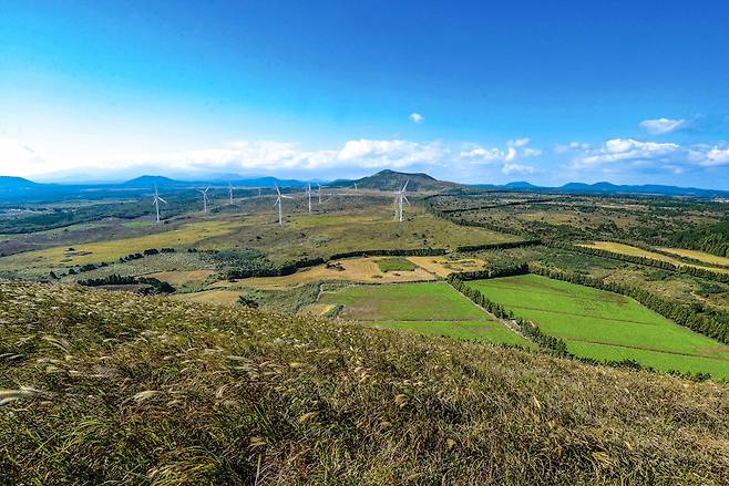 몇 해 전의 갑마장 풍광. 지금은 풍력발전기 아래로 태양광 발전시설이 빼곡하게 들어서서 볼썽사나워졌다