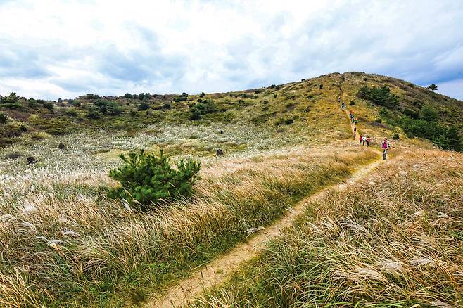 서쪽 봉우리에서 동쪽의 정상으로 이어지는 이 길을 걷는 것은 가을날 최고의 사치다.