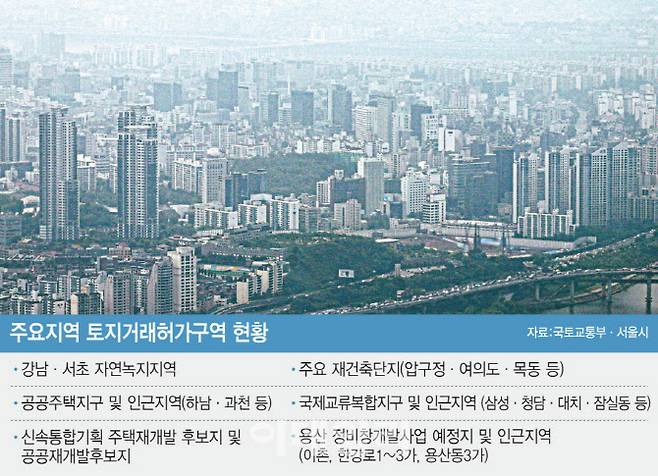 [그래픽=이데일리 이미나 기자]