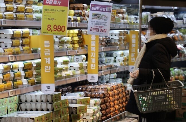 지난 8일 서울의 한 대형마트에서 소비자가 장을 보고 있다. 연합뉴스