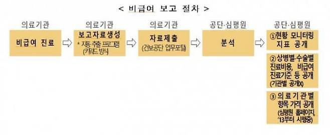 비급여 보고 절차.&nbsp; &nbsp;보건복지부