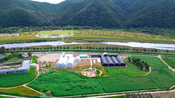 안동포 문화공원 내 산업용 대마 스마트팜. 사진 안동시