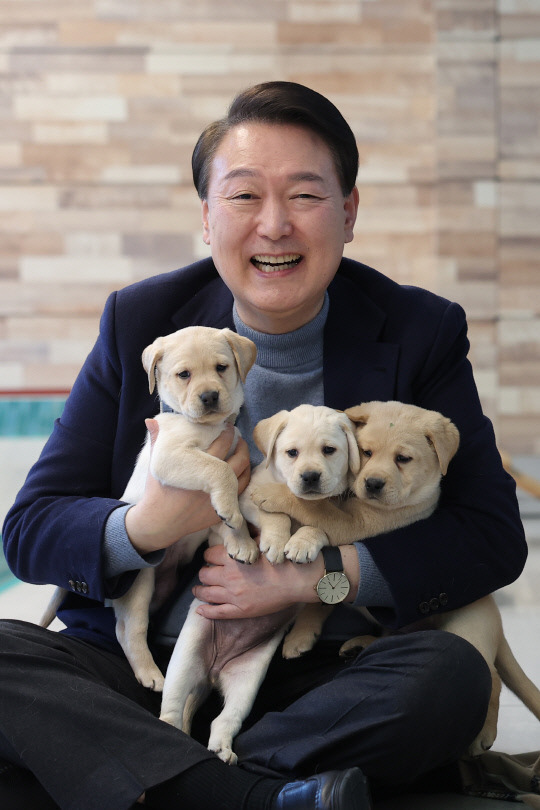 윤석열 대통령이 지ㄴ 24일 경기도 용인 삼성화재 안내견 학교에서 리트리버 강아지들을 안아주며 환하게 웃고 있다.사진=연합뉴스