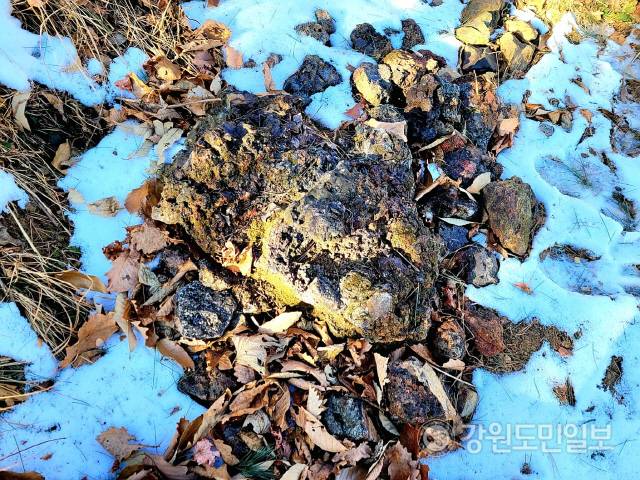 ▲ 고대 쇠부리터·숯가마터에 카르스트지형 돌리네와 함께 일제 철 수탈 흔적이 대거 발견된 동해 백두대간 고대~근대 철기유적지에 이를 보전·승계할 쇠부리문화촌이 개관, 철기관련 전시회가 잇따를 예정이어서 제철유적지로의 발전가능성에 관심이 쏠리고 있다.쇠부리문화촌 인근에 있는 슬래그(철을 제련할 때 생기는  덩어리) 모습.