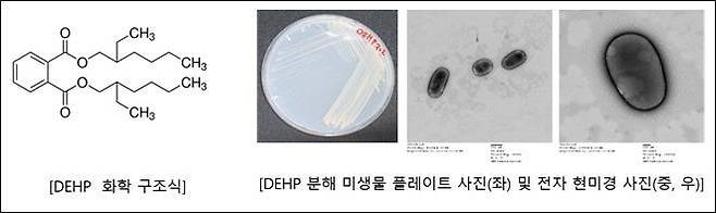 [서울=뉴시스]환경부 산하 국립낙동강생물자원관은 디에틸헥실프탈레이트(DEHP)를 분해하는 능력이 우수한 담수 미생물 5종을 최근 발견했다고 25일 밝혔다.(자료=국립낙동강생물자원관 제공) *재판매 및 DB 금지