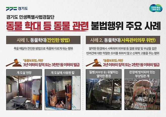 (수원=뉴스1) 진현권 기자 = 잔인한 방법으로 개를 도살하거나 무허가업체에서 반려동물을 번식시켜 허가업체 명의로 경매장에 판매하는 등 동물 관련 불법행위를 한 업자 등이 경기도 특별사법경찰단에 적발됐다.(경기도 제공)