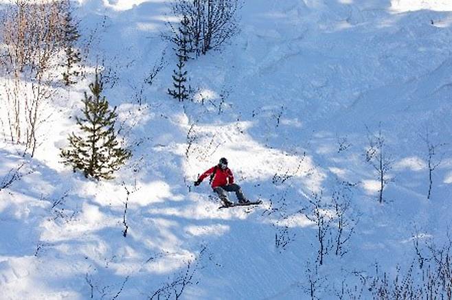 Sarıkamış Ski
