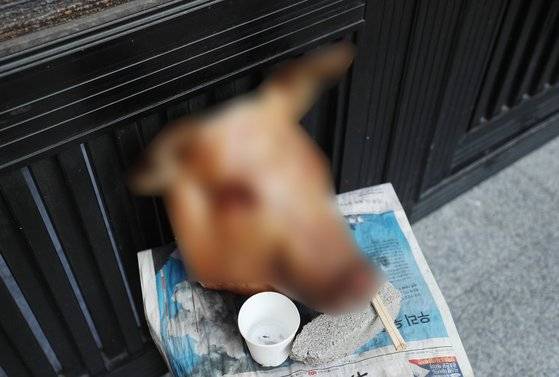 삶은 돼지머리, 이슬람사원 공사장 옆에 놓여. 연합뉴스
