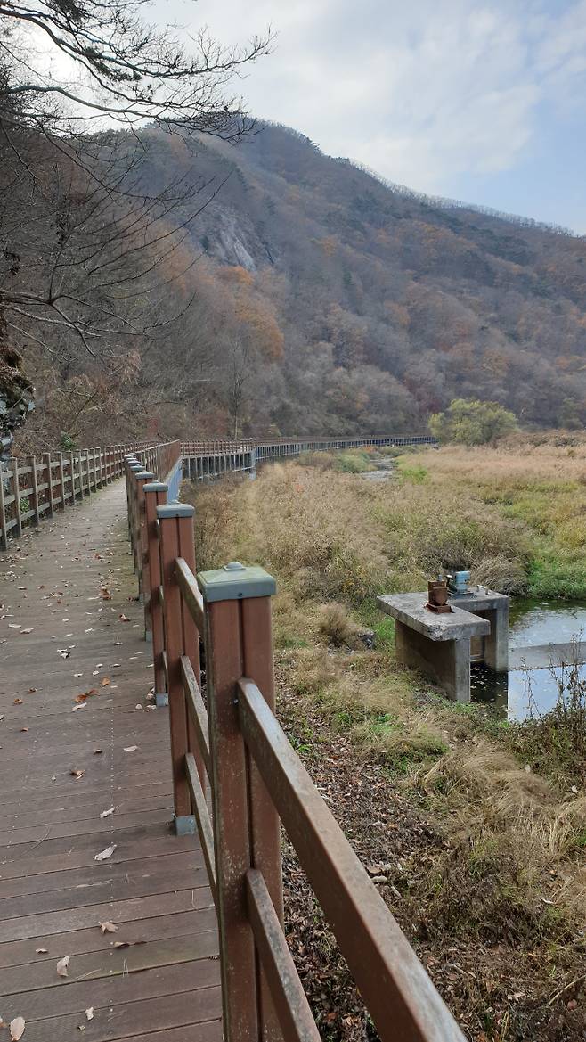 데크길. 강갑술 해설사 제공