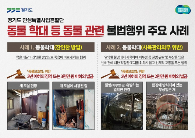 ▲반려동물 관련시설 불법 적발 사례. ⓒ경기도