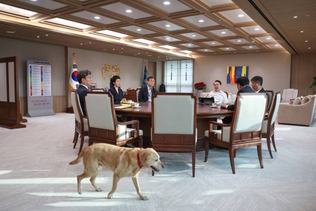 26일 오전 서울 대통령실 청사에서 열린 윤석열 대통령과 수석비서관과의 티타임에 윤 대통령이 분양받은 은퇴견 새롬이가 함께하고 있다. 사진=대통령실