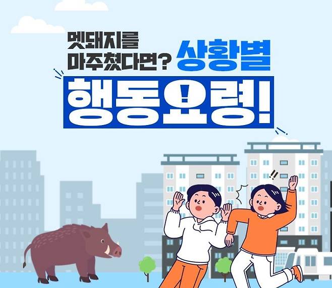 멧돼지 마주쳤을 때 상황별 행동요령(서울시 제공).