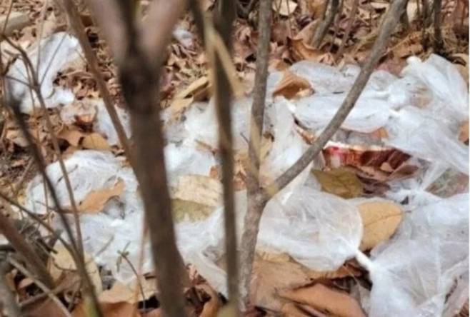 온라인커뮤니티 캡쳐