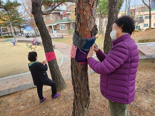 [대전=뉴시스] 조명휘 기자 = 대전 대덕구의 '선배시민 자원봉사단'이 뜨개질로 만든 겨울나무 보호를 위한 소품을 나무에 부착하고 있다. (사진= 대덕구 제공) 2022.12.27. photo@newsis.com *재판매 및 DB 금지