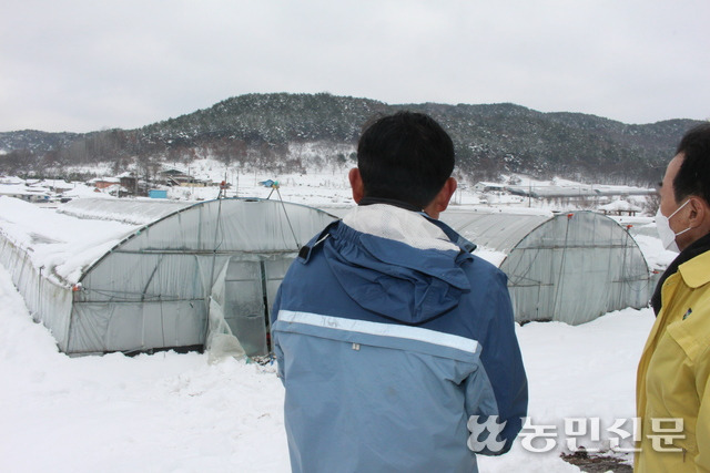 이성희 농협중앙회장(오른쪽)이 폭설로 비닐하우스가 붕괴되는 피해를 입은 농민 설성환씨(59·순창 구림면)를 위로하고 있다.