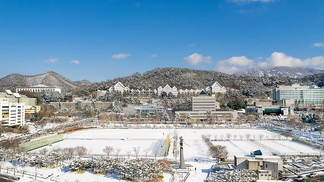 조선대학교 전경.