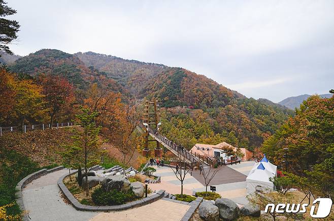 문화체육관광부와 한국관광공사의 '추천 웰니스 관광지'에 2회 연속 선정된 충북 증평군 좌구산자연휴양림.(증평군) / 뉴스1