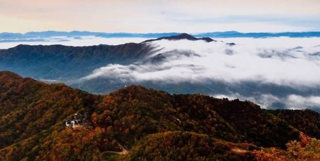 대구 팔공산. /뉴시스