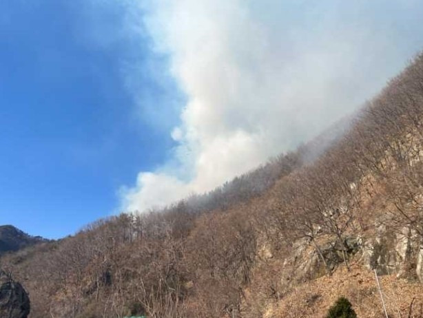 부산 강서구 산불 현장 [부산시 제공]