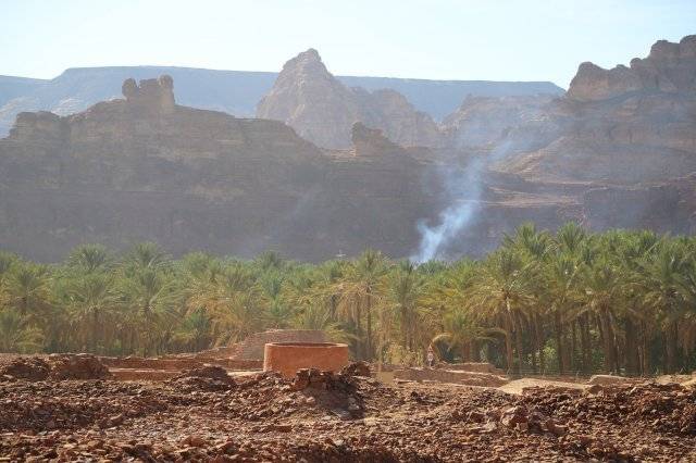 오아시스에 세워진 다단왕국 유적지. 커다란 저수조 유적 뒷편으로 대추야자 나무가 울창하다.