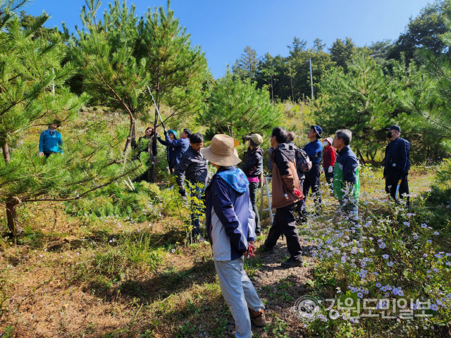 ▲ 정원관리사 양성 교육에 참여한 군민들이 영월읍 삼옥리 유아숲체험장에서 현장실습을 하고 있다.