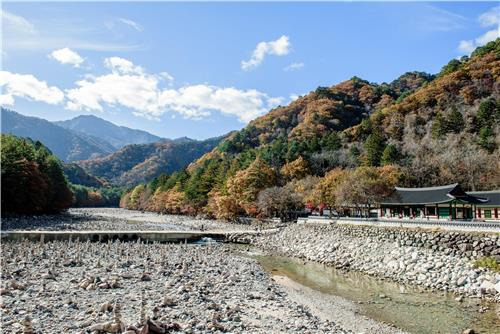 인제 백담사 부 행사장. [강원세계산림엑스포 조직위 제공]