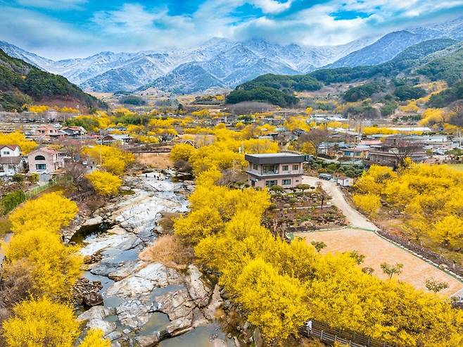 동상을 받은 ‘지리산 아래 산수유마을’ 작품 / 사진=ⓒ한국관광공사 사진갤러리-김영수