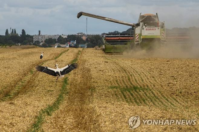 우크라이나의 밀 수확 현장 [로이터 연합뉴스 자료사진]
