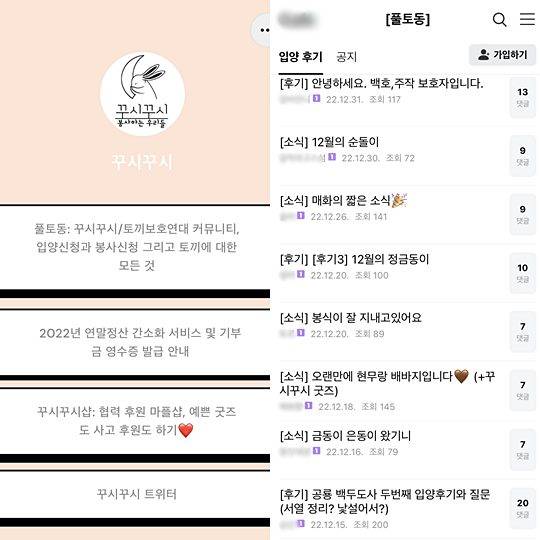 '꾸시꾸시' 카페에 새로운 토끼 가족들을 만난 집사들의 후기가 쏟아지고 있다. (사진='꾸시꾸시' SNS)