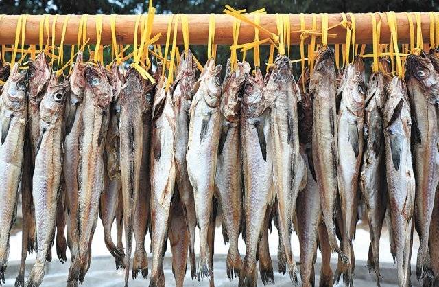 게티이미지코리아