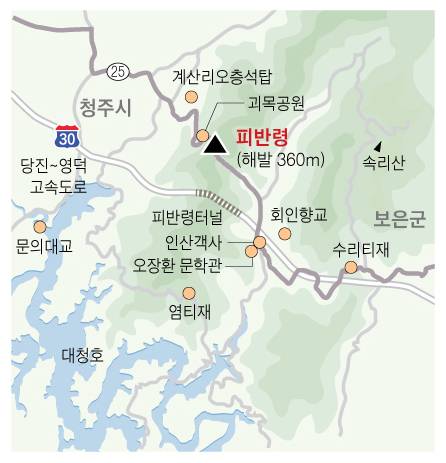 피반령