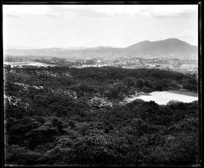 일제강점기에 촬영된 경복궁 후원 모습으로 융문당과 융무당 건물 등이 확인된다. 국립중앙박물관 소장. 문화재청 제공