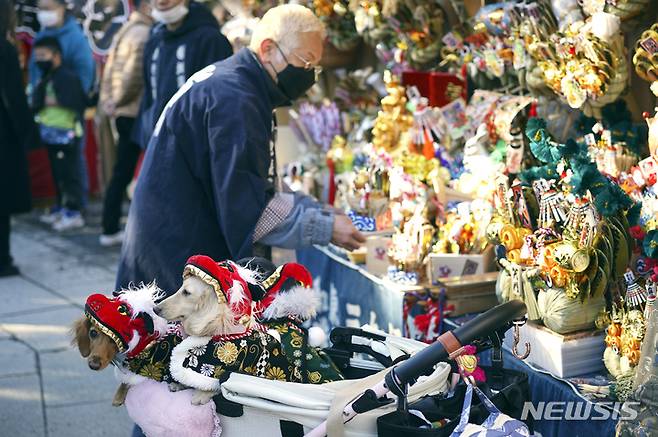 [도쿄=AP/뉴시스] 2일 일본 도쿄 근처 가와사키에 있는 다이시 사찰에서 새해 첫 신사나 사찰을 방문해 행운을 기원하는 '하츠모데'에 '시시마이' 또는 사자 춤 의상을 입은 애완견이 카트에 탑승해 있다. 2023.01.04.