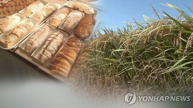 "빵도 가루쌀로"…쌀 소비 촉진 해법될까(CG) [연합뉴스TV 제공]