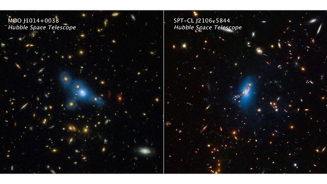 허블 우주 망원경으로 관측한 은하의 사진. 왼쪽은 85억광년(光年, 1광년은 빛이 1년 가는 거리로 약 9조4600억㎞) 떨어진 MOO1014 은하단, 오른쪽은 82억광년 떨어진 SPT2106 은하단의 모습이다. 오렌지 색의 천체들은 은하단을 구성하는 개별 은하이고, 푸른색이 떠돌이별의 빛이다. 연세대 연구진이 떠돌이별의 기원을 밝혔다./연세대