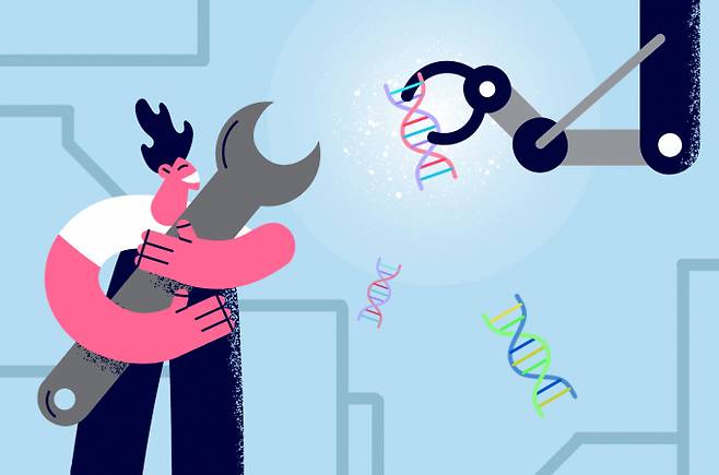 특정 유전자를 자르고 더 좋은 유전자를 주입하는 '유전자 가위' 기술이 발전하고 있다. 과학계가 유전자 연구를 활발히 진행하면서 유전자 산업은 세포 치료와 유전자 치료, 유전자 편집 등 다양한 분야로 파생되고 있다. /그래픽=강지호 기자