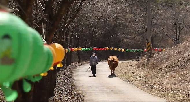 동물농장에 출연한 황수만 할아버지와 복덩이 . 사진=캡쳐