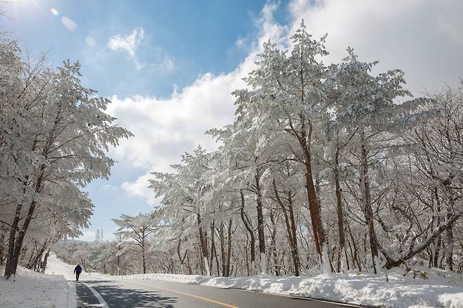 제주도 / 사진 = 한국관광공사