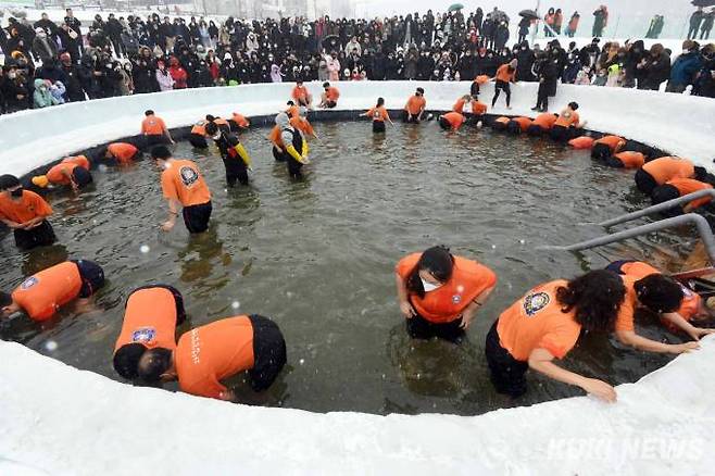 산천어 맨손잡기 체험장에 뛰어든 체험객들