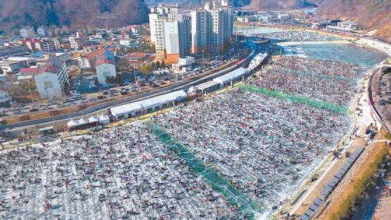 매년 100만 명 이상 찾아와 대표적인 겨울 축제로 꼽히는 화천산천어축제는 올해 1월 29일까지 열린다. 중앙포토