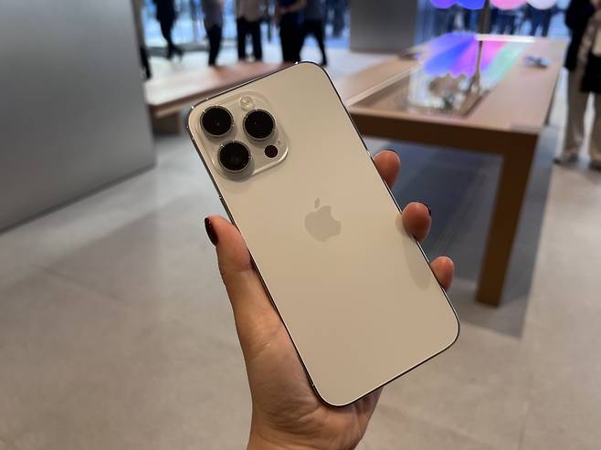 아이폰14 [헤럴드DB]